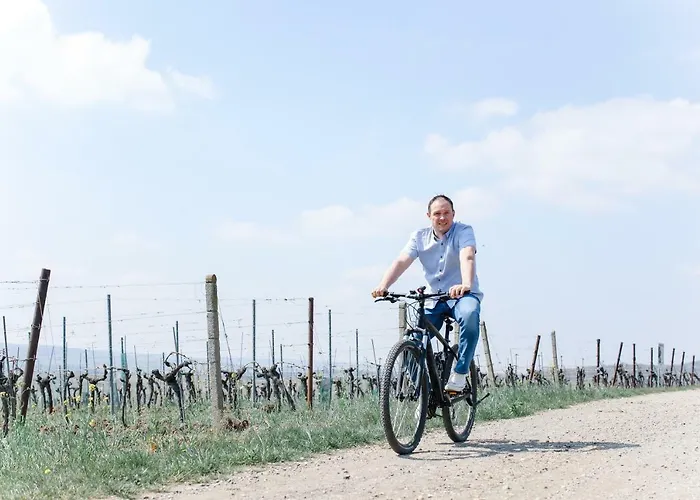 Vino Apartament Poysdorf